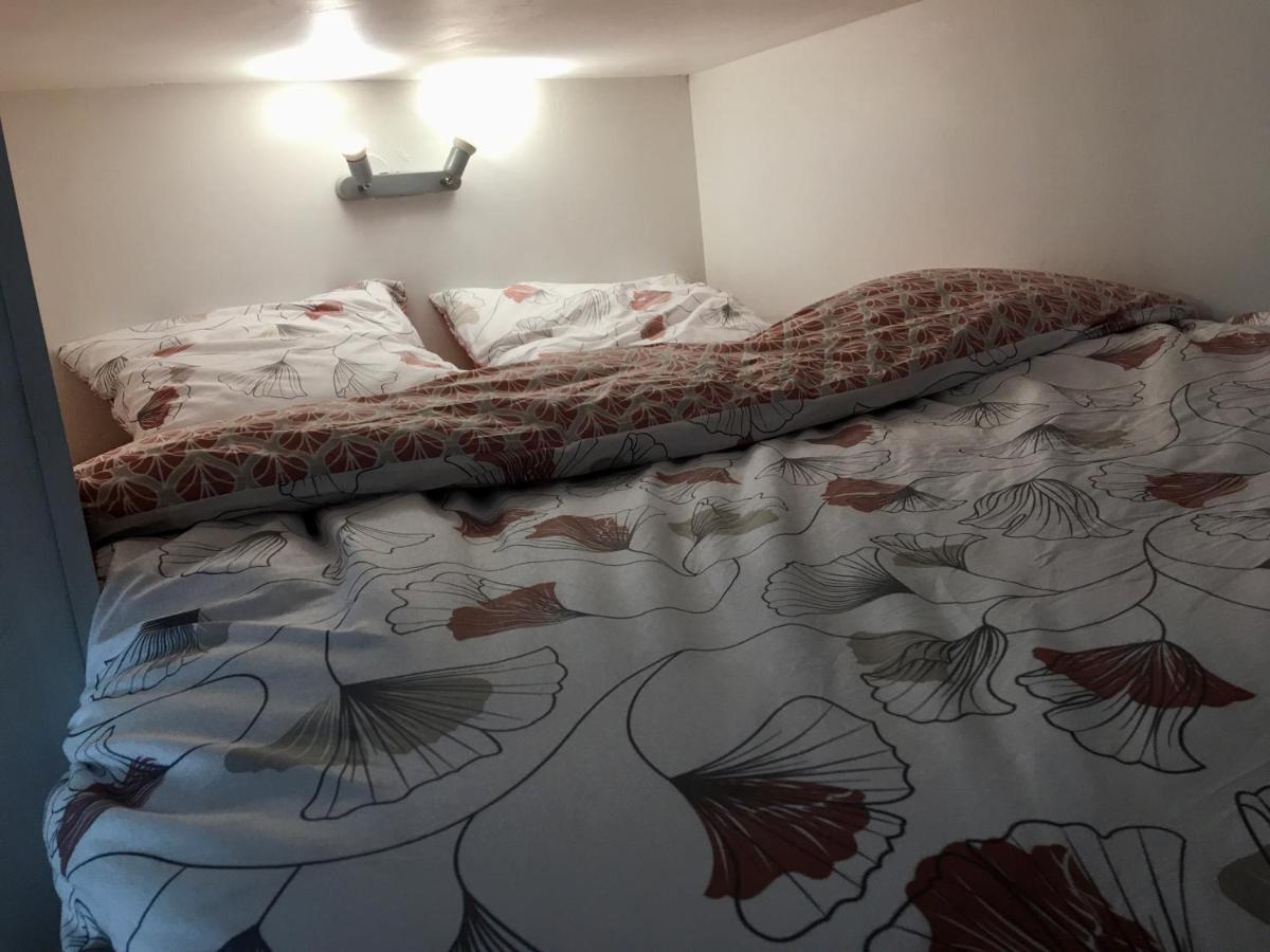 Le Jungle Studio Daire Rouen Dış mekan fotoğraf